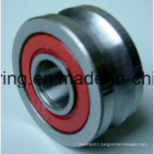 Lifter Roller Bearing